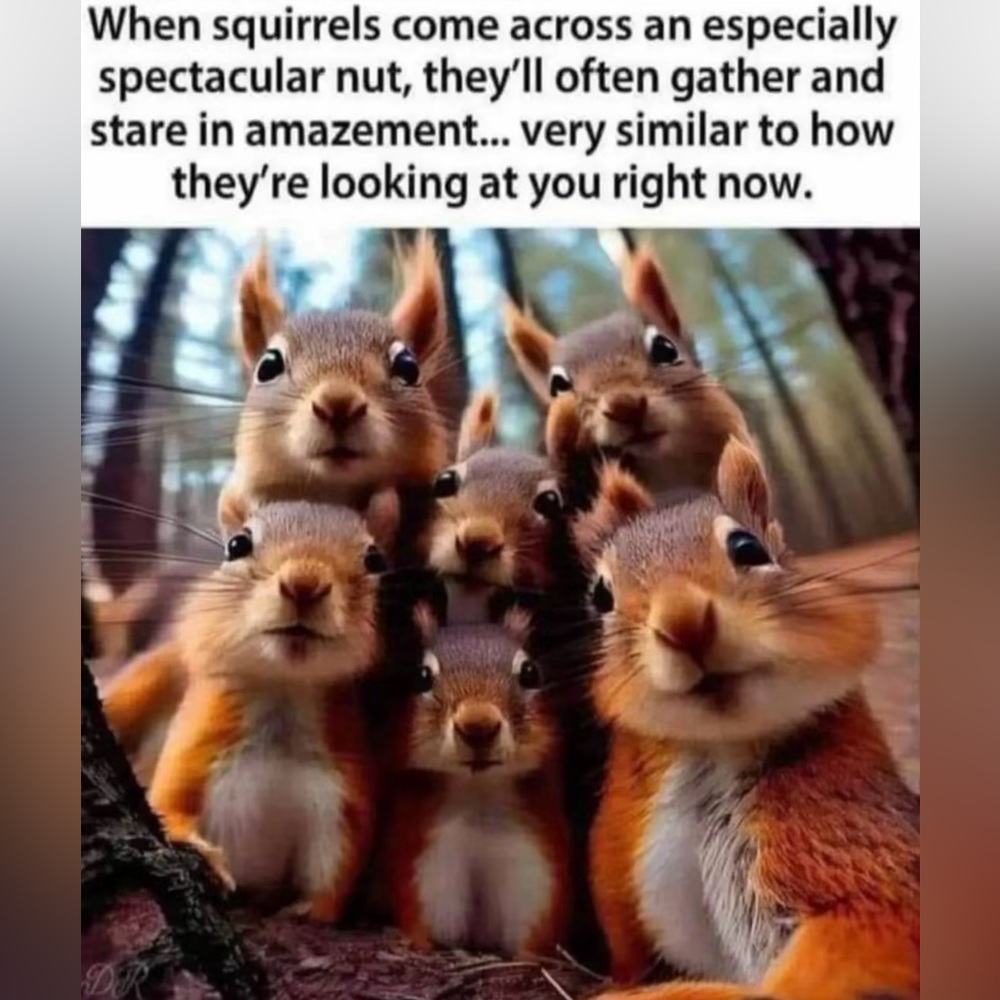 We’re just nutty about a great deal 🥜🐿️!!